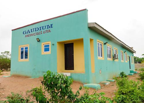 GAUDIUM MEDICALS LTD (4)