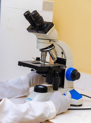 GAUDIUM MEDICALS LTD (50)